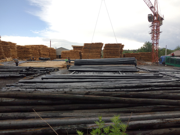 防腐油木桿、防腐油炸桿4