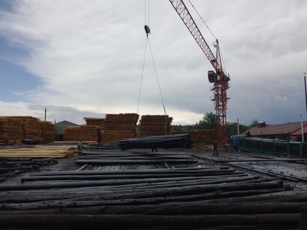 防腐油木桿、防腐油炸桿5